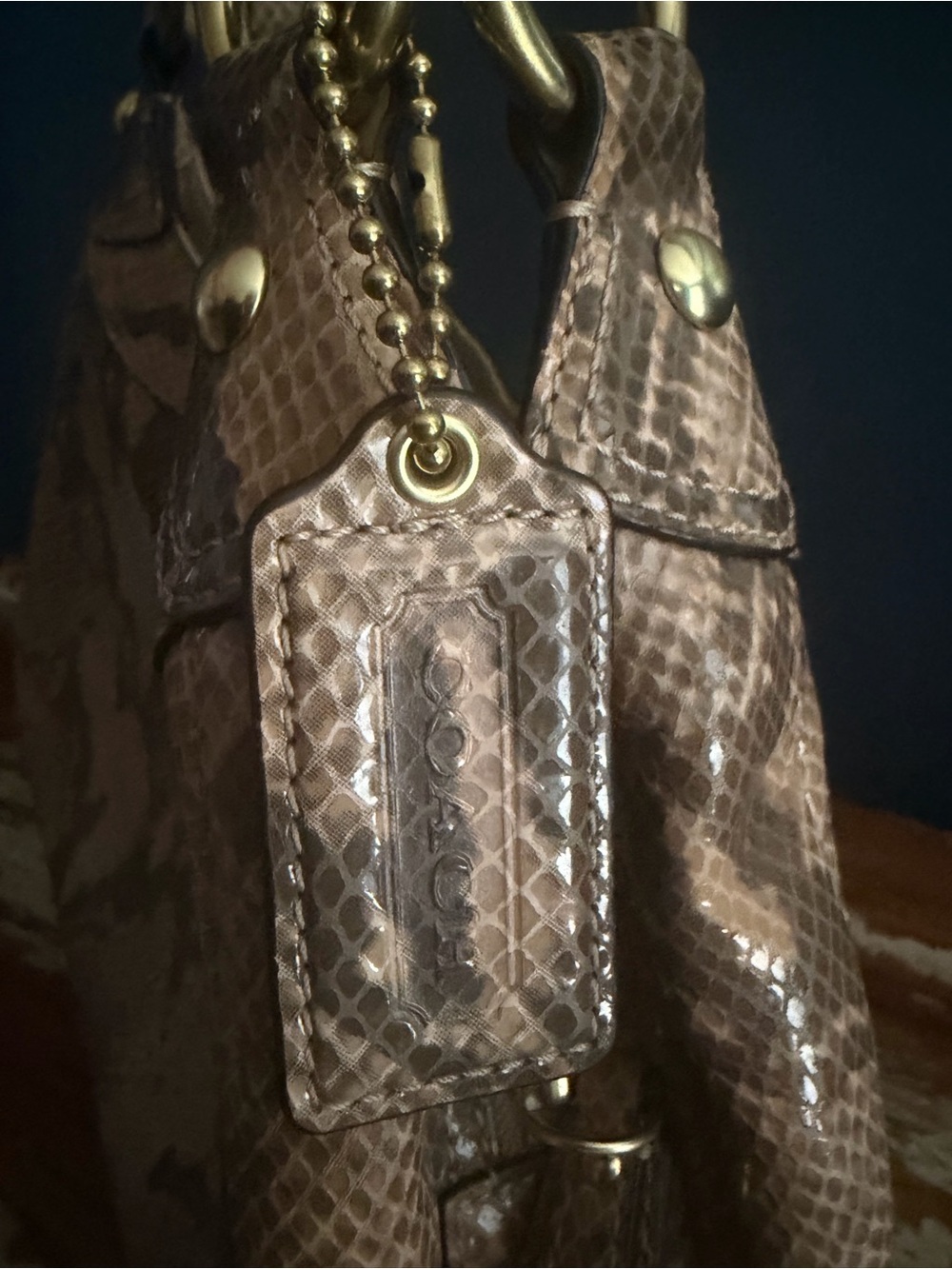 Coach Python Embossed Hobo Bag - Picture 2 of 11